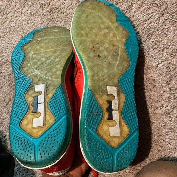 Lebrons - Picture 5 of 5